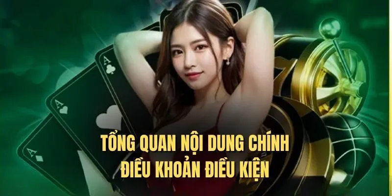 Điều khoản điều kiện 8LIVE là gì?